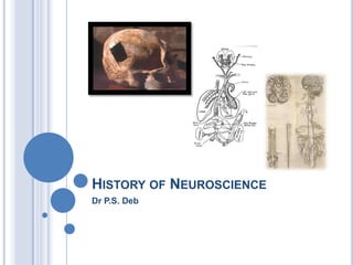 History of Neuroscience Dr P.S. Deb 