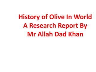 History of olive in world A Research Report By Mr Allah Dad Khan | PPTX