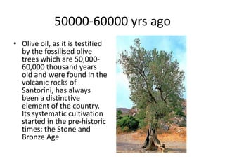 History of olive in world A Research Report By Mr Allah Dad Khan | PPTX