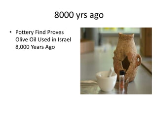 History of olive in world A Research Report By Mr Allah Dad Khan | PPTX