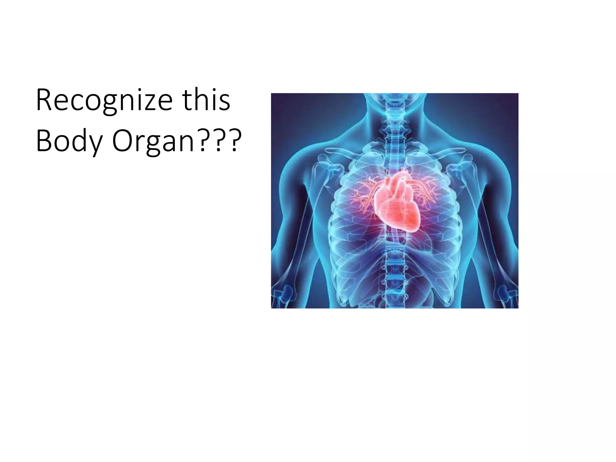 Recognize this
Body Organ???
 