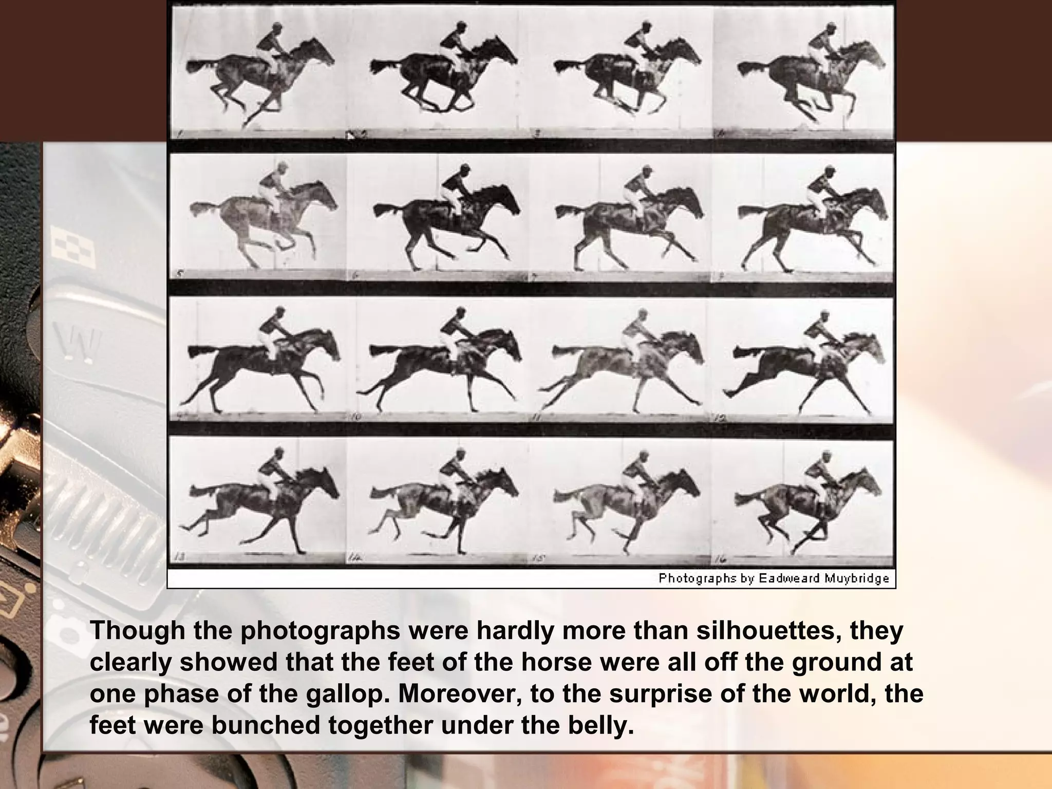 Though the photographs were hardly more than silhouettes, they
clearly showed that the feet of the horse were all off the ground at
one phase of the gallop. Moreover, to the surprise of the world, the
feet were bunched together under the belly.

 