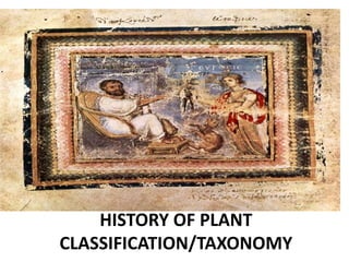 HISTORY OF PLANT
CLASSIFICATION/TAXONOMY
 