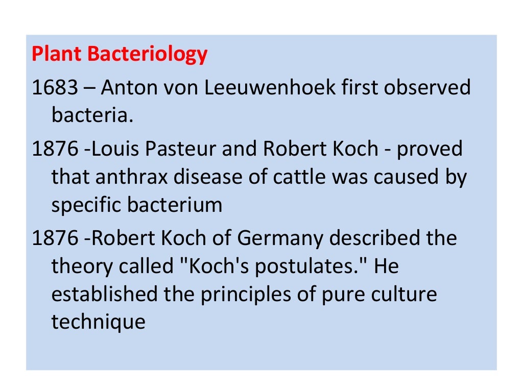 pathology definition