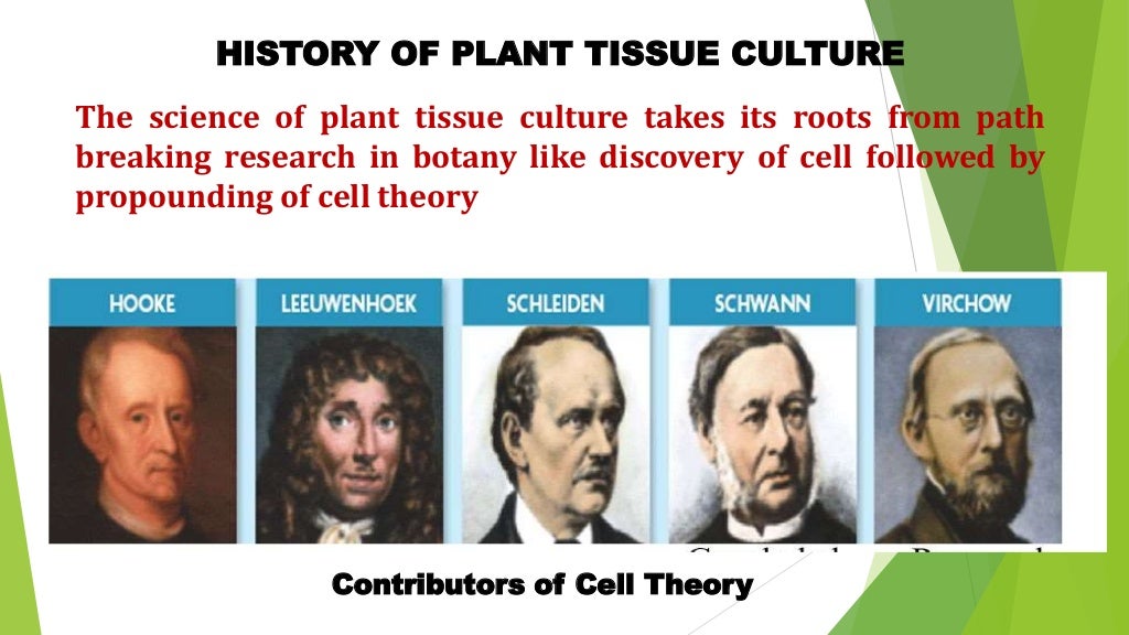 History of Plant Tissue Culture