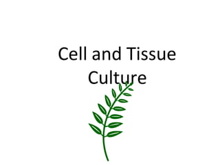 Cell and Tissue
Culture
 