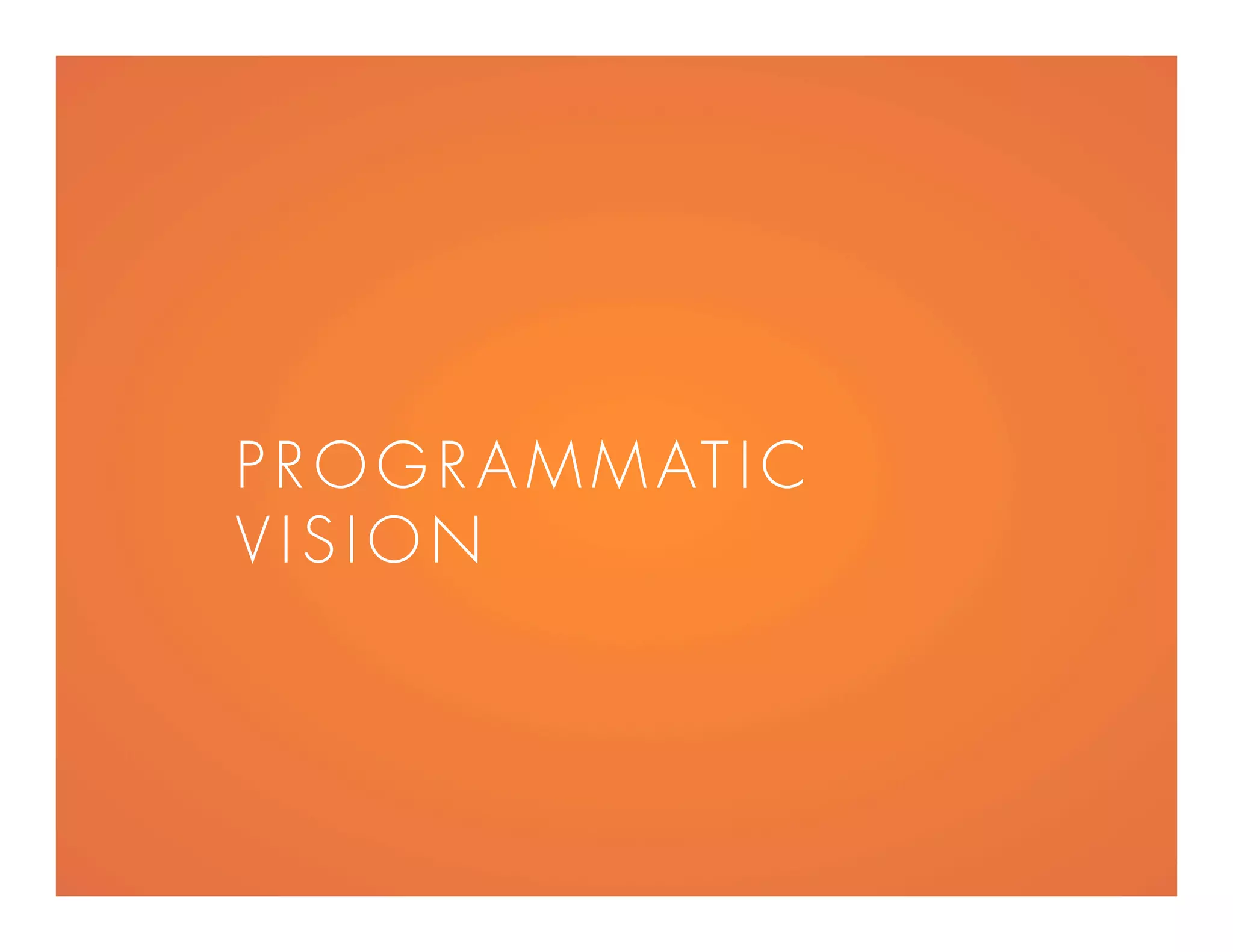 PROGR AMMATIC
VIS ION
 