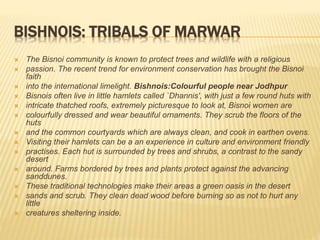 BISHNOIS: TRIBALS OF MARWAR
 The Bisnoi community is known to protect trees and wildlife with a religious
 passion. The recent trend for environment conservation has brought the Bisnoi
faith
 into the international limelight. Bishnois:Colourful people near Jodhpur
 Bisnois often live in little hamlets called `Dhannis', with just a few round huts with
 intricate thatched roofs, extremely picturesque to look at, Bisnoi women are
 colourfully dressed and wear beautiful ornaments. They scrub the floors of the
huts
 and the common courtyards which are always clean, and cook in earthen ovens.
 Visiting their hamlets can be a an experience in culture and environment friendly
 practises. Each hut is surrounded by trees and shrubs, a contrast to the sandy
desert
 around. Farms bordered by trees and plants protect against the advancing
sanddunes.
 These traditional technologies make their areas a green oasis in the desert
 sands and scrub. They clean dead wood before burning so as not to hurt any
little
 creatures sheltering inside.
 