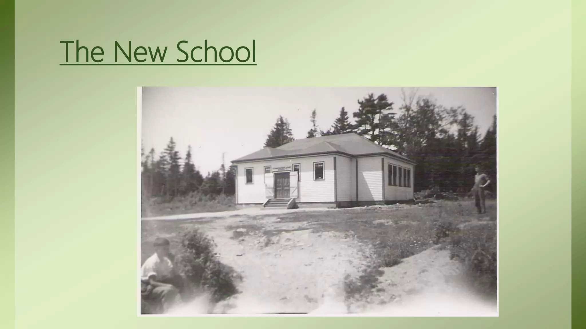 Story of Transitions- Always Looking for a new Home