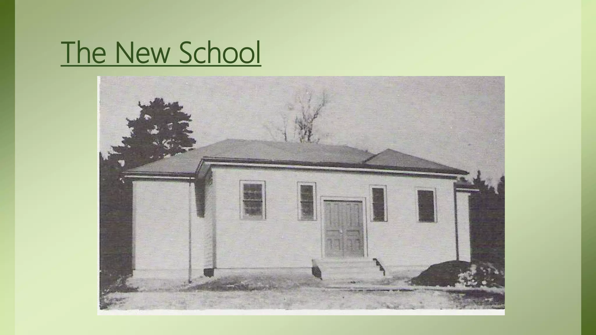 Story of Transitions- Always Looking for a new Home