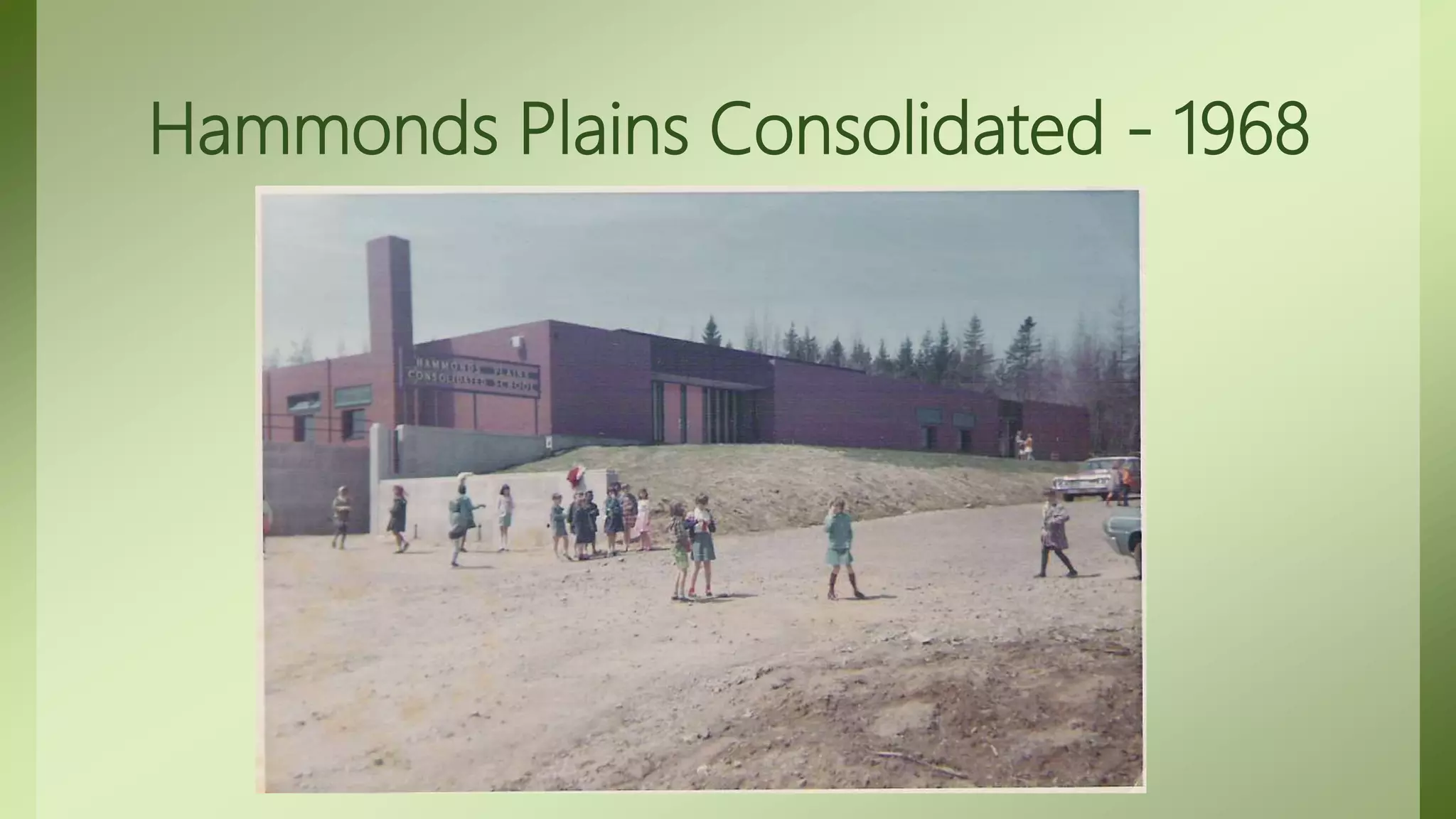 Story of Transitions- Always Looking for a new Home