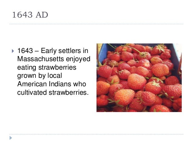 History of strawberry A Research Report By Mr Allah Dad Khan