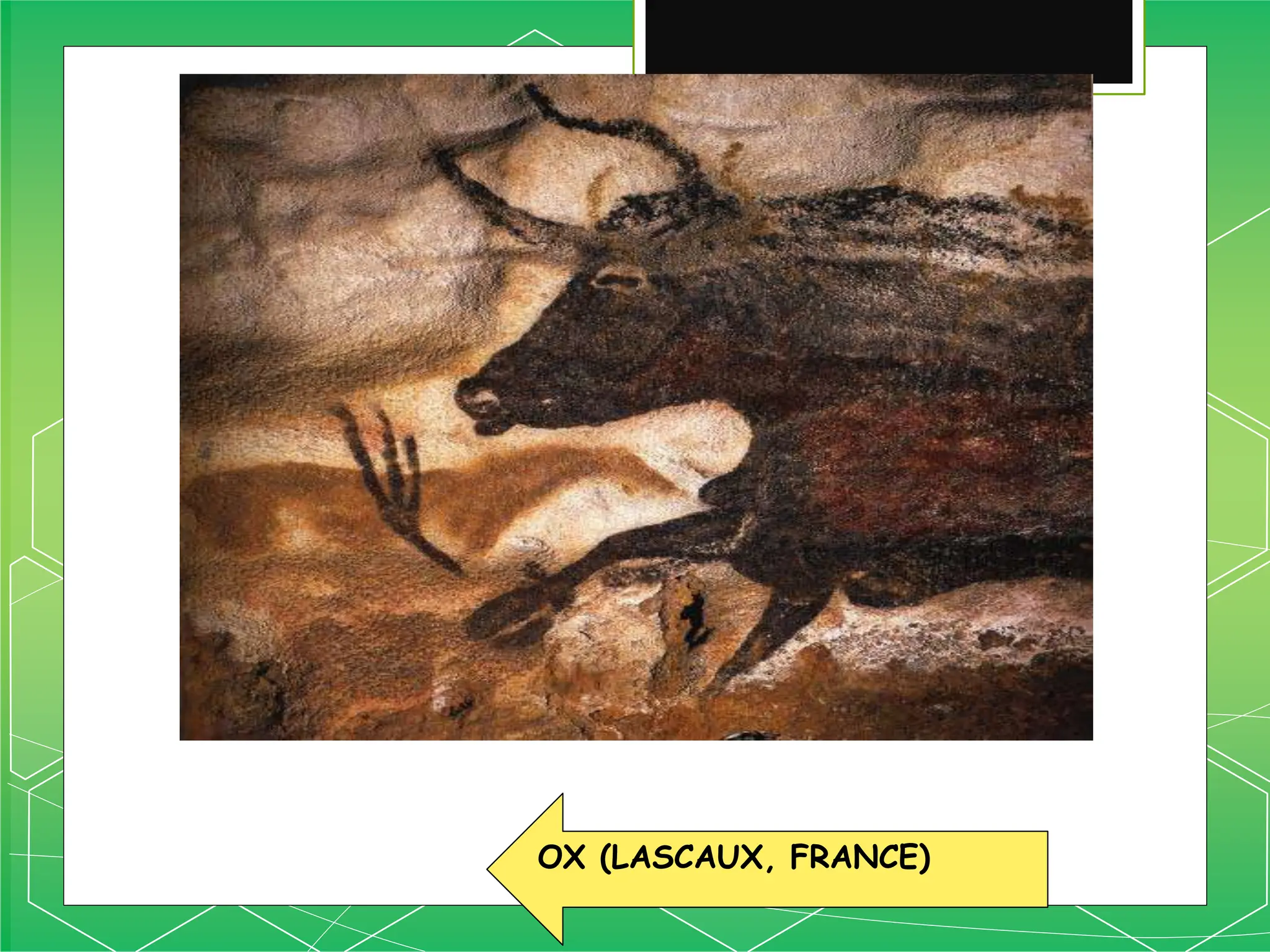 OX (LASCAUX, FRANCE)
 