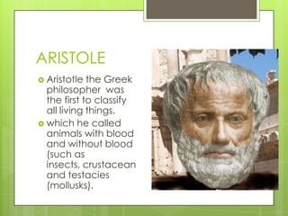 Testacies History of taxonomy | PPTX