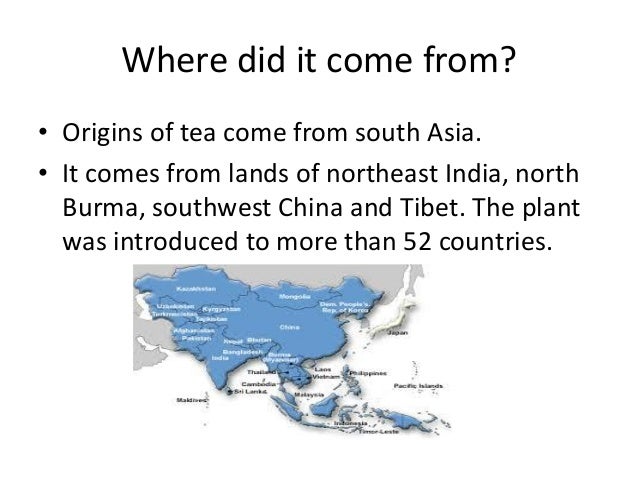 where did tea originate