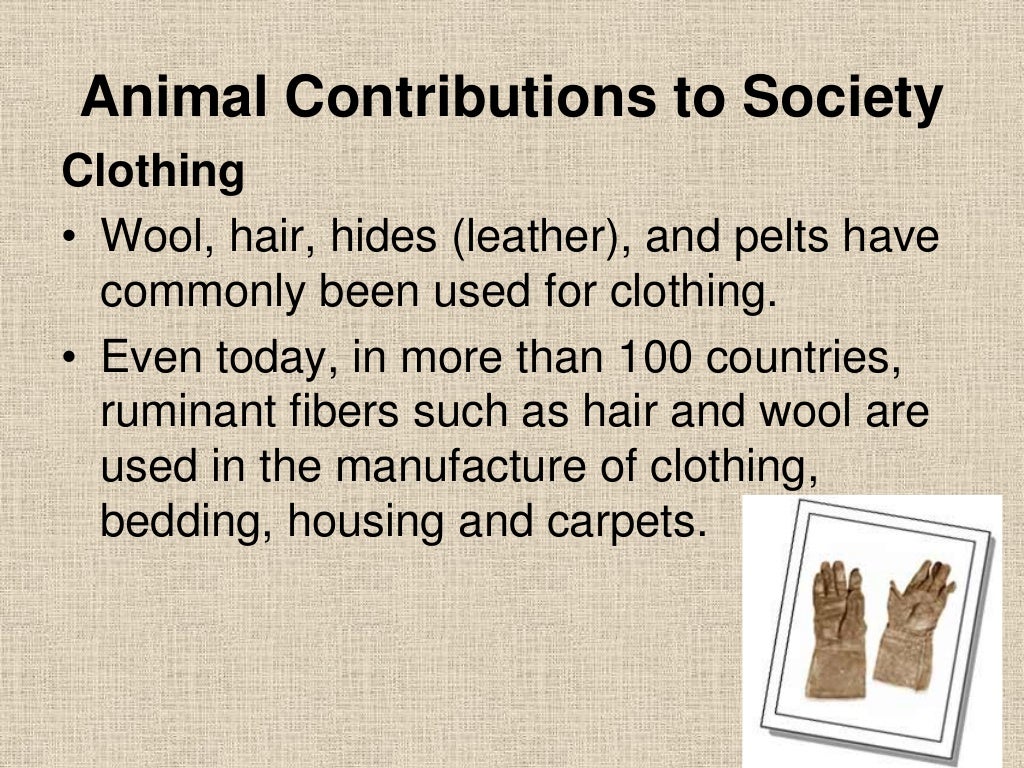 History Of The Animal Science Industry