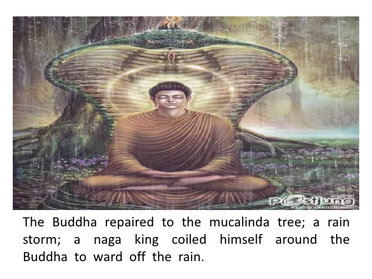 History of the lord buddha