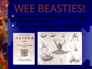 WEE BEASTIES!
 These were the first observations of living
bacteria ever recorded!
 He soon called them his “wee beasties”!
 