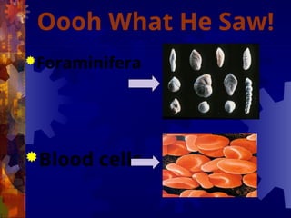Oooh What He Saw!
Foraminifera
Blood cells
 