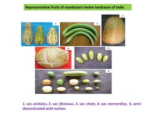 Centers of origin, wild relatives, domestication and history of ...