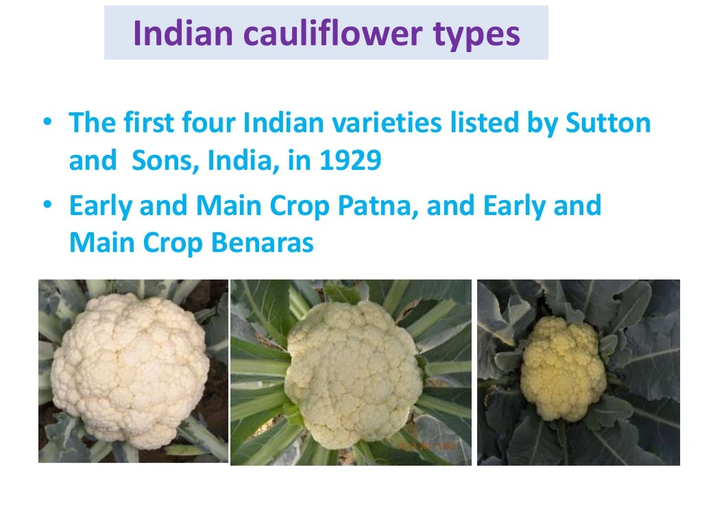 Centers of origin, wild relatives, domestication and history of veget…