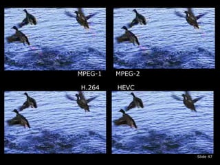 Slide 47 
MPEG-1 MPEG-2 
H.264 HEVC 
 