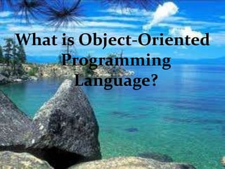 What is Object-Oriented Programming Language?
