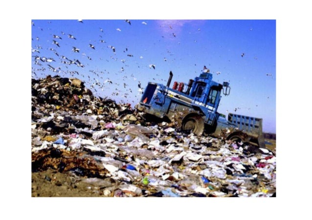 A Brief History of Waste Disposal