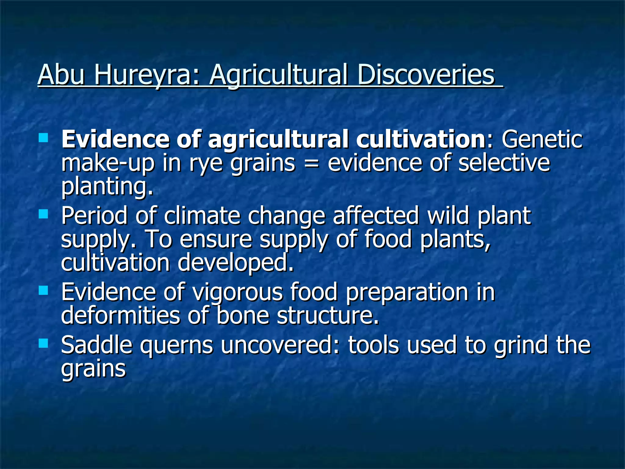 Abu Hureyra: Agricultural Discoveries  Evidence of agricultural cultivation : Genetic make-up in rye grains = evidence of selective planting.  Period of climate change affected wild plant supply. To ensure supply of food plants, cultivation developed. Evidence of vigorous food preparation in deformities of bone structure. Saddle querns uncovered: tools used to grind the grains 