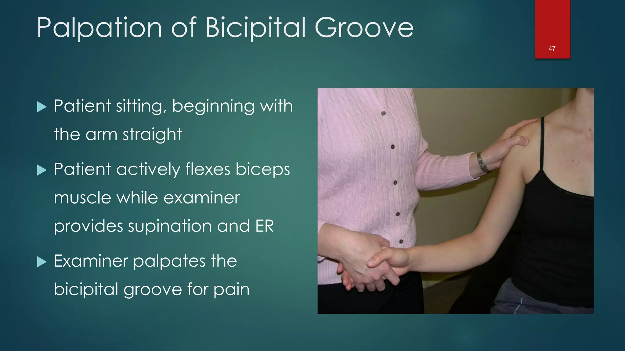 47
Palpation of Bicipital Groove
 Patient sitting, beginning with
the arm straight
 Patient actively flexes biceps
muscle while examiner
provides supination and ER
 Examiner palpates the
bicipital groove for pain
 