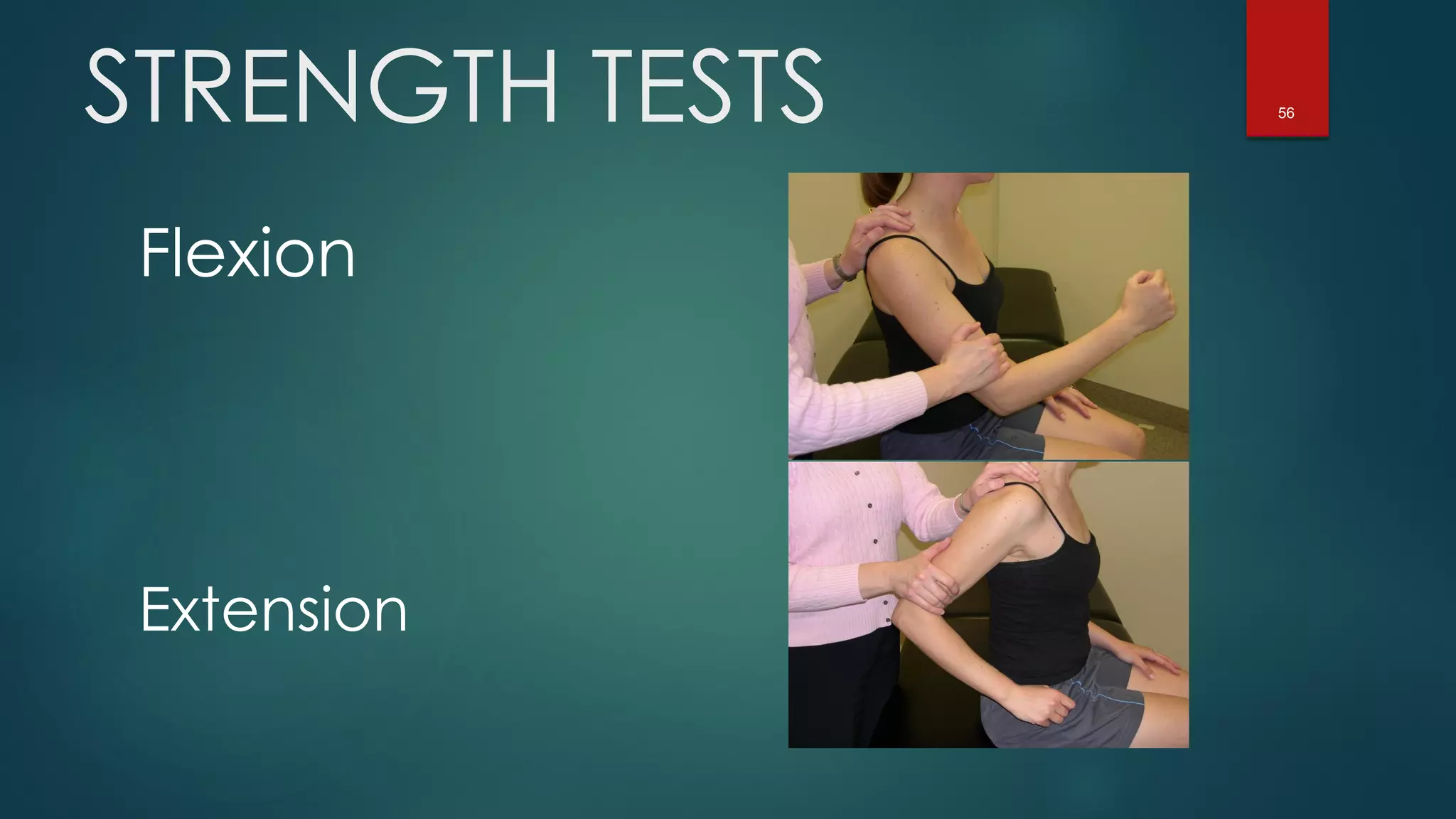 56STRENGTH TESTS
Flexion
Extension
 