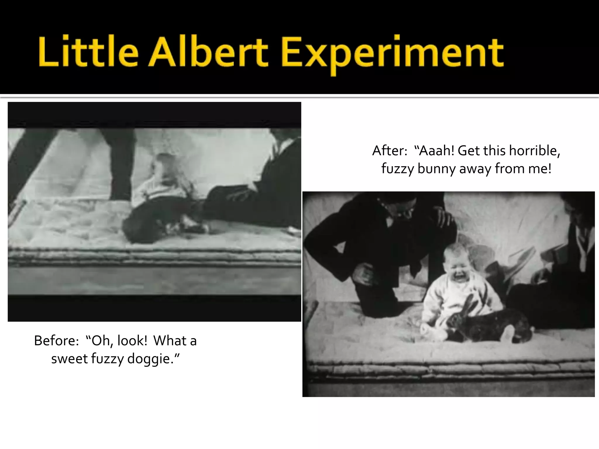 Before: “Oh, look! What a 
sweet fuzzy doggie.” 
After: “Aaah! Get this horrible, 
fuzzy bunny away from me! 
 
