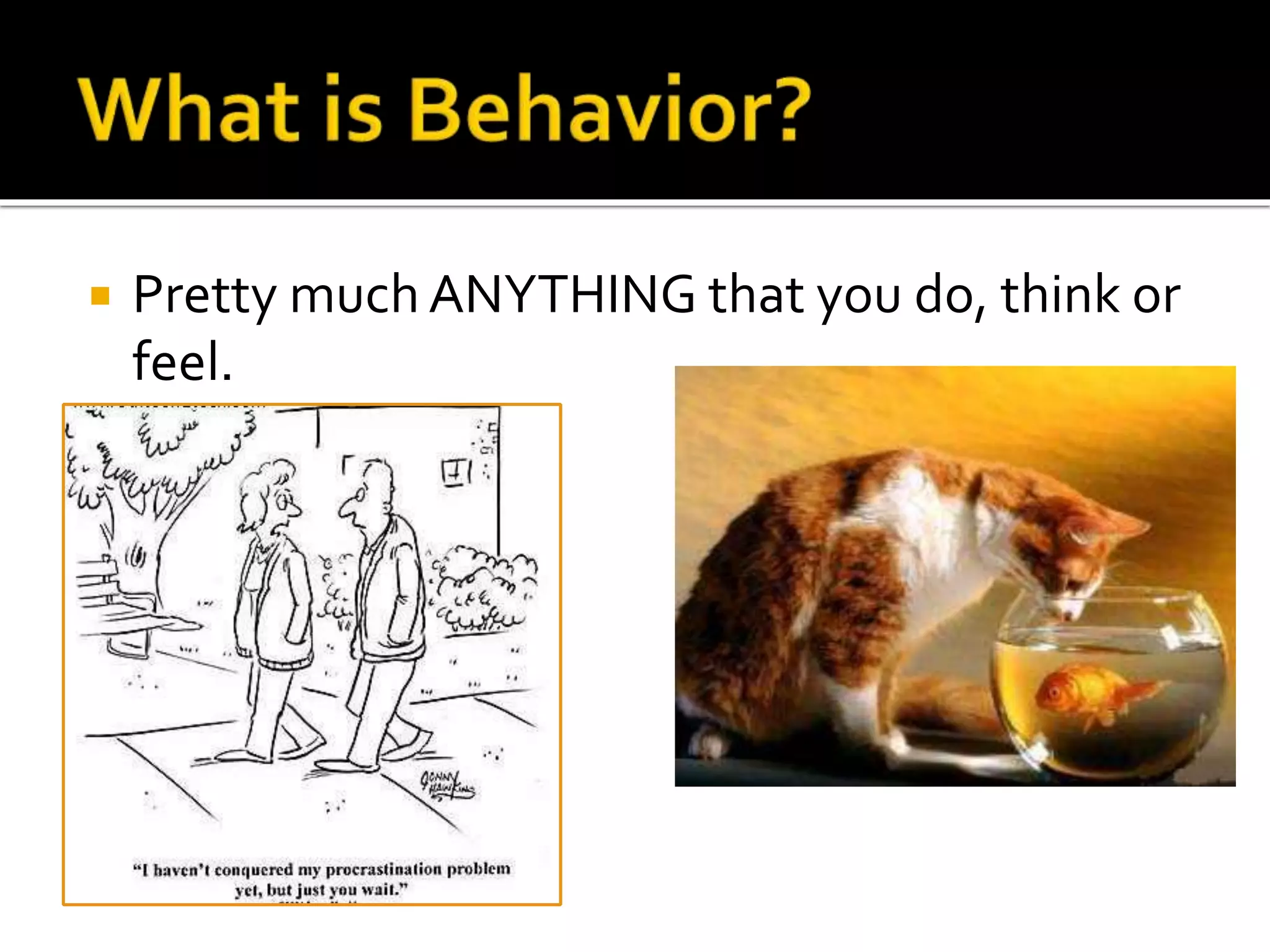  Pretty much ANYTHING that you do, think or 
feel. 
 