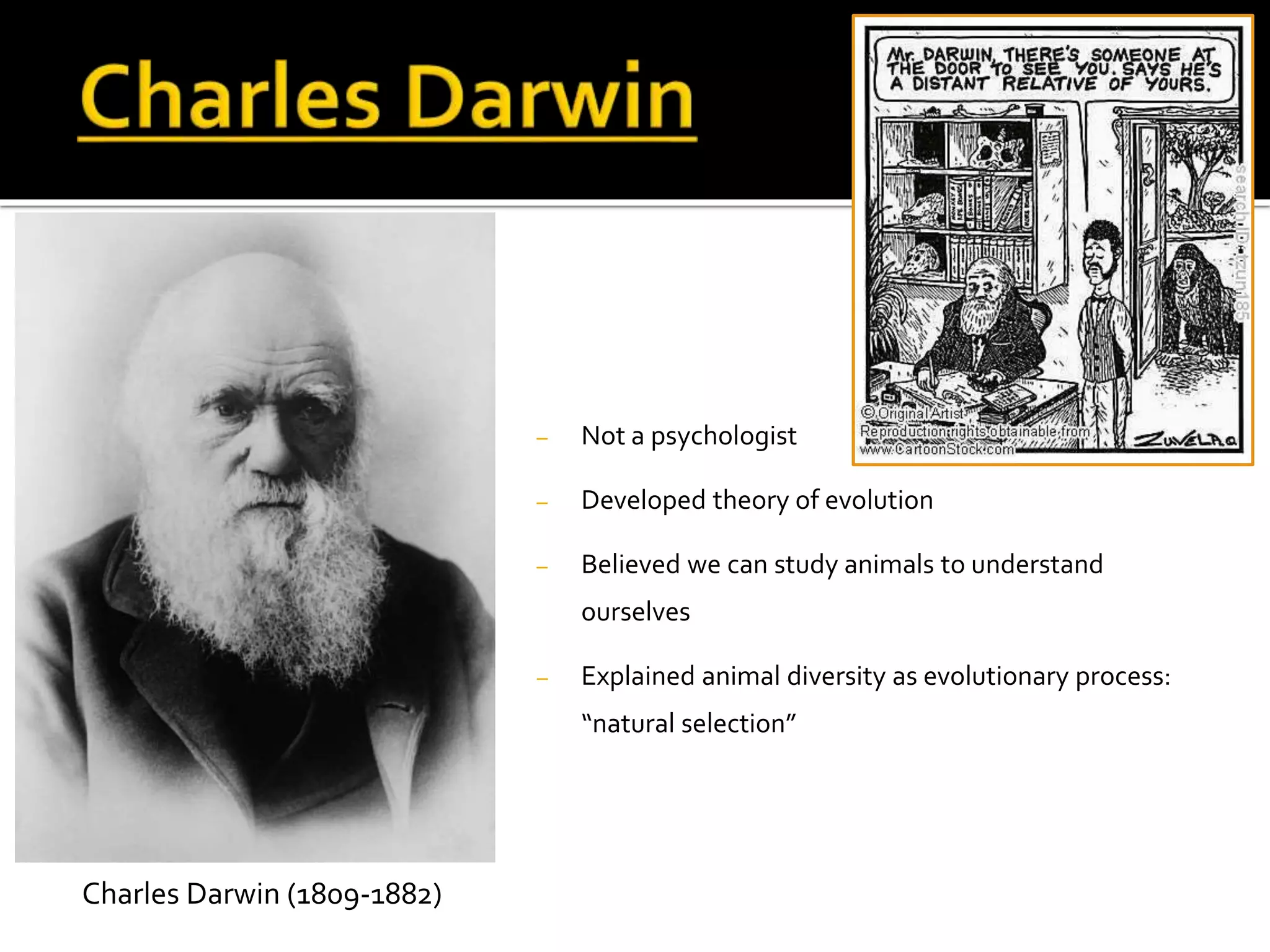– Not a psychologist 
– Developed theory of evolution 
– Believed we can study animals to understand 
ourselves 
– Explained animal diversity as evolutionary process: 
“natural selection” 
Charles Darwin (1809-1882) 
 