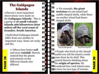 PAGE
39
PAGE
38
Darwin’s most important
observations were made on
the Galápagos Islands . This is
a group of 16 small volcanic
islands 966 kilometers (600
miles) off the west coast of
Ecuador, South America.
Individual Galápagos islands
differ from one another in
important ways. Some are rocky
and dry.
 For example, the giant
tortoises on one island had
saddle-shaped shells, while those
on another island had dome-
shaped shells
 Others have better soil
and more rainfall. Darwin
noticed that the plants
and animals on the
different islands also
differed
People who lived on the islands
could even tell the island a turtle
came from by its shell. This
started Darwin thinking about
the origin of species. He
wondered how each island came
to have its own type of tortoise.
 