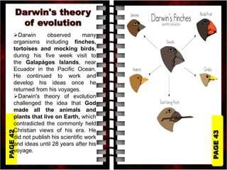 PAGE
43
PAGE
42
Darwin observed many
organisms including finches,
tortoises and mocking birds,
during his five week visit to
the Galapágos Islands, near
Ecuador in the Pacific Ocean.
He continued to work and
develop his ideas once he
returned from his voyages.
Darwin's theory of evolution
challenged the idea that God
made all the animals and
plants that live on Earth, which
contradicted the commonly held
Christian views of his era. He
did not publish his scientific work
and ideas until 28 years after his
voyage.
 