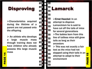 PAGE
15
PAGE
14
Characteristics acquired
during the lifetime of a
parent are not passed onto
the offspring
 An athlete who develops
a large muscle mass
through training does not
have children who already
possess this large muscle
mass
Ernst Haeckel: In an
attempt to disprove
Lamarckism he is said to
have cut off the tails of mice
for several generations
The babies born from this
line of tailless mice still grew
tails as long as their
ancestors
 This was not exactly a fair
test as the mice had not
stopped using their tails in an
attempt to adapt to their
environment
 