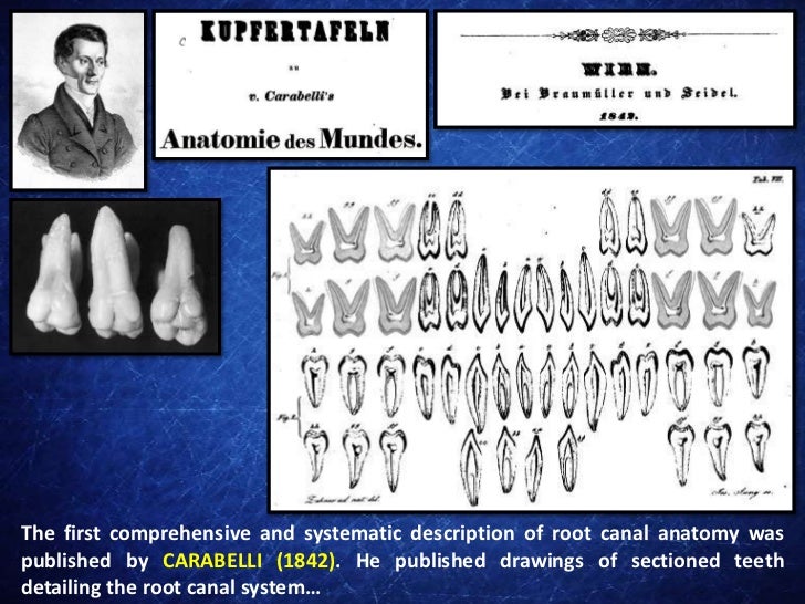 A Brief History of the First Studies on the Root Canal Anatomy