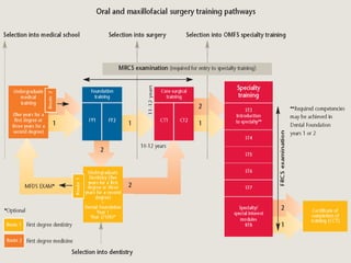 History,scope,development and training in oral and maxillofacial ...