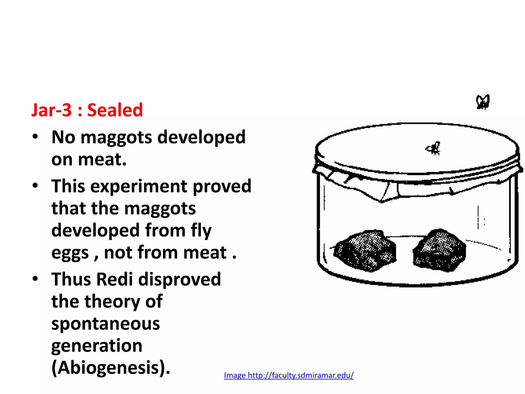 Jar-3 : Sealed
• No maggots developed
on meat.
• This experiment proved
that the maggots
developed from fly
eggs , not from meat .
• Thus Redi disproved
the theory of
spontaneous
generation
(Abiogenesis). Image http://faculty.sdmiramar.edu/
 
