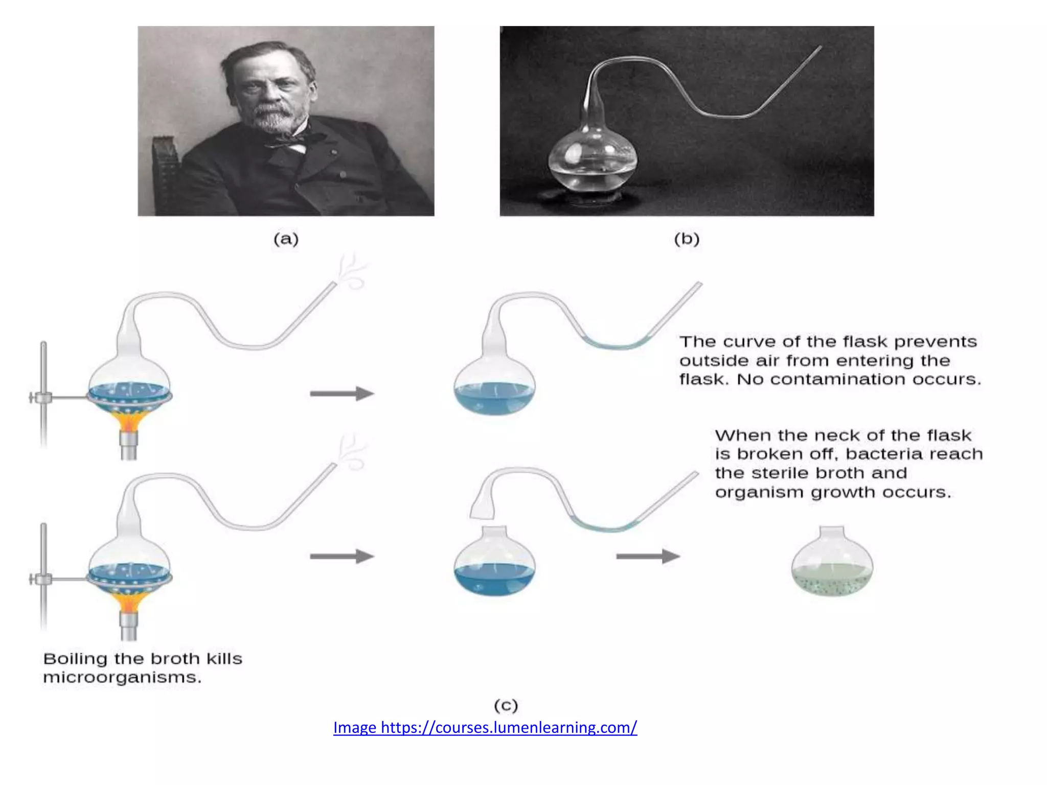 Image https://courses.lumenlearning.com/
 