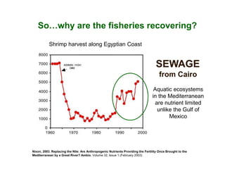 So…why are the fisheries recovering?

           Shrimp harvest along Egyptian Coast


                                                                                   SEWAGE
                                                                                     from Cairo
                                                                                 Aquatic ecosystems
                                                                                in the Mediterranean
                                                                                 are nutrient limited
                                                                                  unlike the Gulf of
                                                                                       Mexico




Nixon, 2003. Replacing the Nile: Are Anthropogenic Nutrients Providing the Fertility Once Brought to the
Mediterranean by a Great River? Ambio. Volume 32, Issue 1 (February 2003)
 