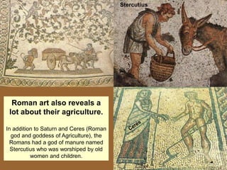 Stercutius




  Roman art also reveals a
 lot about their agriculture.

In addition to Saturn and Ceres (Roman
  god and goddess of Agriculture), the
  Romans had a god of manure named
  Stercutius who was worshiped by old
          women and children.
 