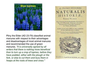 Blue lupines




Pliny the Elder (AD 23-79) classified animal
manures with respect to their advantages
and disadvantages of most animal manures
and recommended the use of green
manures. "It is universally agreed by all
writers that there is nothing more beneficial
than to turn up a crop of lupines, before they
have podded, either with the plough or the
fork, or else to cut them and bury them in
heaps at the roots of trees and vines."
 