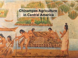 Chinampas Agriculture
          in Central America




http://library.thinkquest.org/C006206F/images/images/pint5.jpg
 
