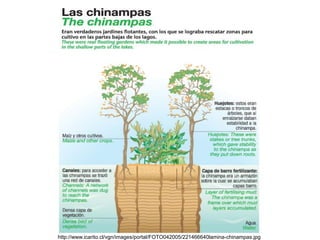 http://www.icarito.cl/vgn/images/portal/FOTO042005/221466640lamina-chinampas.jpg
 