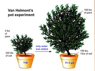 Van Helmont’s                               169 lbs
                                              of plant
  pot experiment



5 lbs
of
plant



                   only water
                   was added
                                           199 lbs,
200 lbs                                    14oz of soil
of soil

          T=0                   T= 5 yrs
 