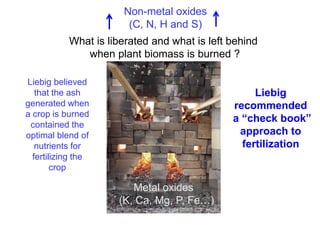 Non-metal oxides
                       (C, N, H and S)
           What is liberated and what is left behind
              when plant biomass is burned ?

Liebig believed
   that the ash                                    Liebig
generated when                                recommended
a crop is burned
                                              a “check book”
 contained the
optimal blend of                               approach to
   nutrients for                                fertilization
  fertilizing the
        crop

                        Metal oxides
                     (K, Ca, Mg, P, Fe…)
 