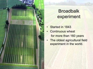 Broadbalk
        experiment

• Started in 1843
• Continuous wheat
  for more than 160 years
• The oldest agricultural field
  experiment in the world.
 