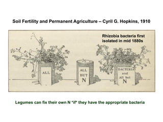 Soil Fertility and Permanent Agriculture – Cyril G. Hopkins, 1910


                                                     Rhizobia bacteria first
“In recent years, Whitney and Cameron have revived the theory of toxic
                                                     isolated in mid 1880s
excreta from plant roots, in support of a more radical theory announced by
them, to the effect that soils do not wear out or become depleted by cultivation
or cropping.

While this theory is advanced with no adequate foundation and in direct
opposition to practical experience and to so many facts of mathematics,
chemistry, and geology, that it is in itself quite unworthy of further
consideration, the fact is that it has been promoted by Professor Whitney as
Chief of the United States Bureau of Soils, and by Doctor Cameron as the
chief chemist of the same Bureau; and, consequently, it cannot be ignored”


   Legumes can fix their own N *if* they have the appropriate bacteria
 